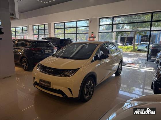 BYD DOLPHIN 44,9 KW ELÉTRICO BYD DOLPHIN 44,9 KW ELÉTRICO
